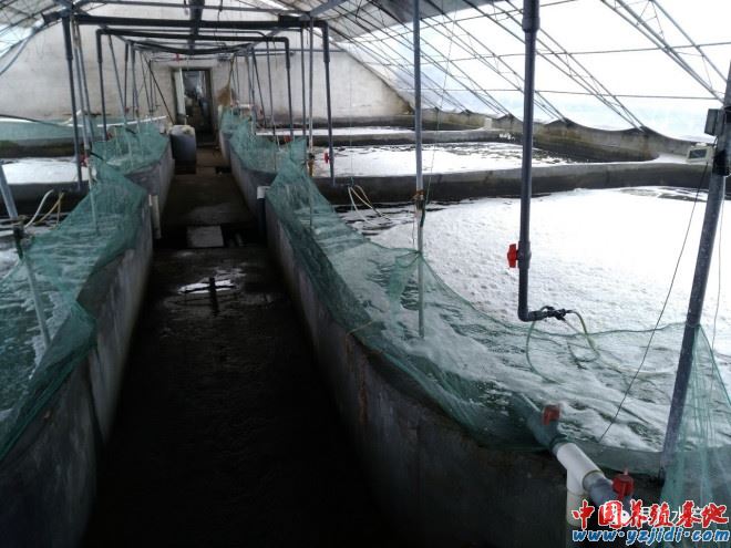中國養殖基地 yzjidi.com