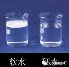 中國養殖基地 yzjidi.com