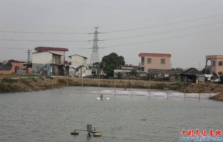 中國養殖基地 yzjidi.com