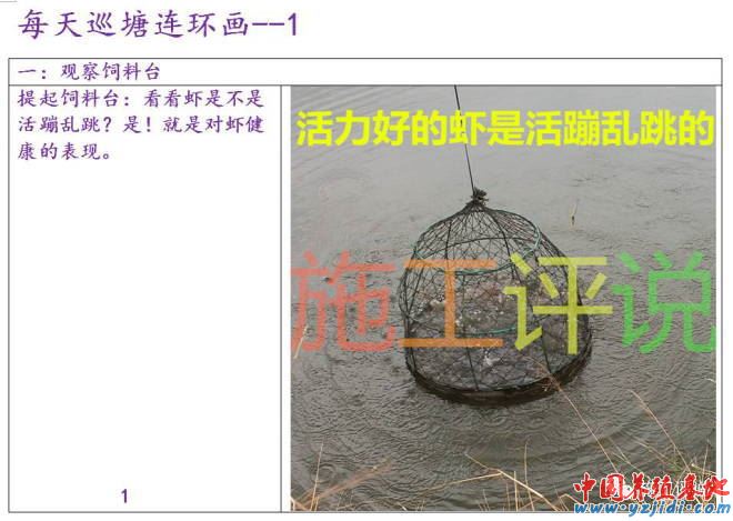 中國養殖基地 yzjidi.com