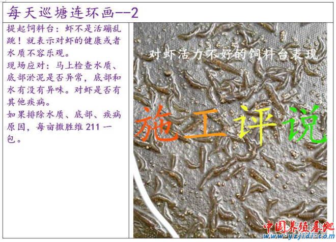 中國養殖基地 yzjidi.com