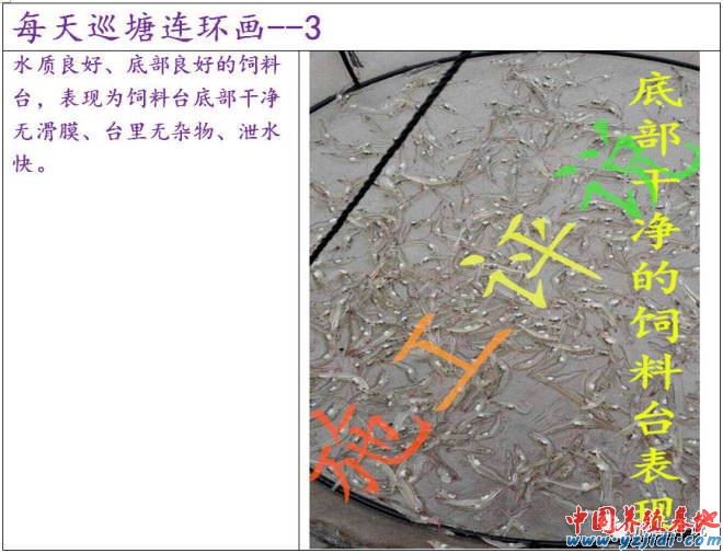 中國養殖基地 yzjidi.com