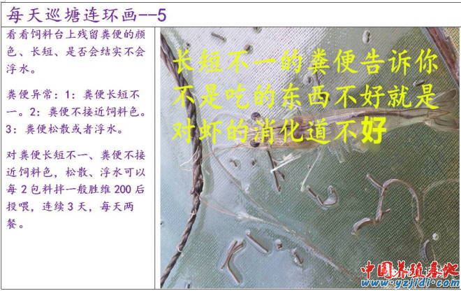 中國養殖基地 yzjidi.com