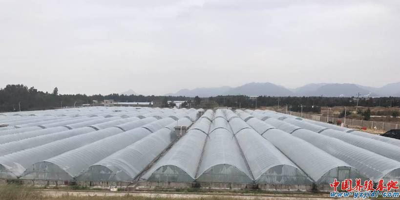 中國養殖基地 yzjidi.com