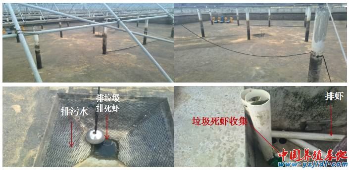 中國養殖基地 yzjidi.com