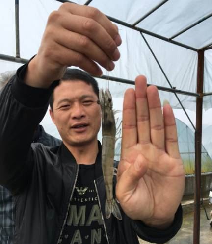 中國養殖基地 yzjidi.com