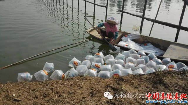 中國養殖基地 yzjidi.com
