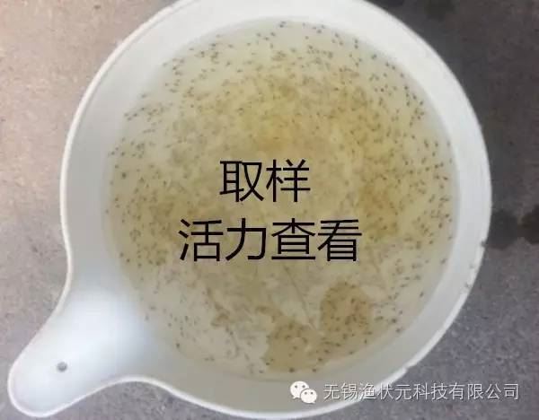 中國養殖基地 yzjidi.com