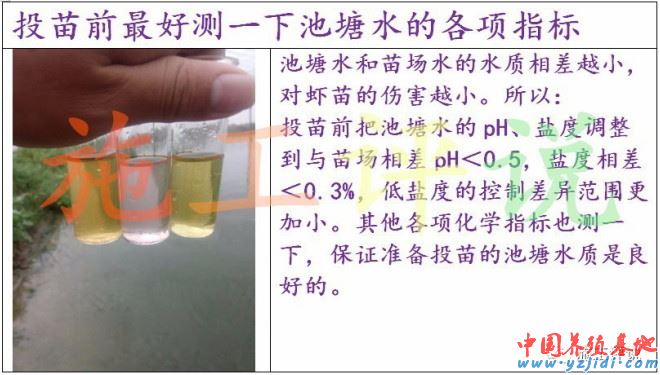 中國養殖基地 yzjidi.com