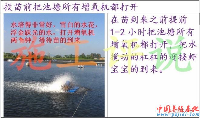 中國養殖基地 yzjidi.com