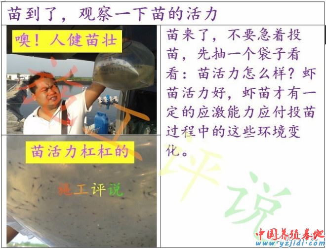 中國養殖基地 yzjidi.com