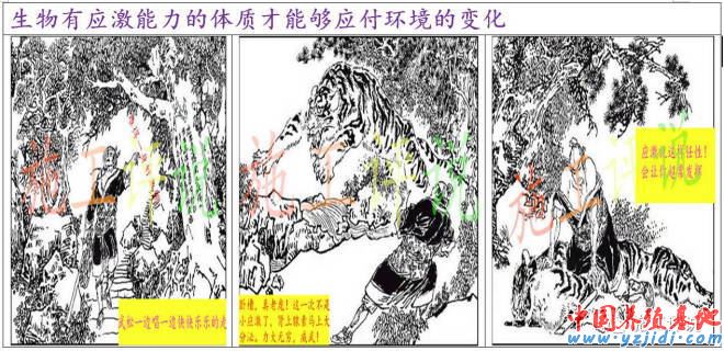中國養殖基地 yzjidi.com