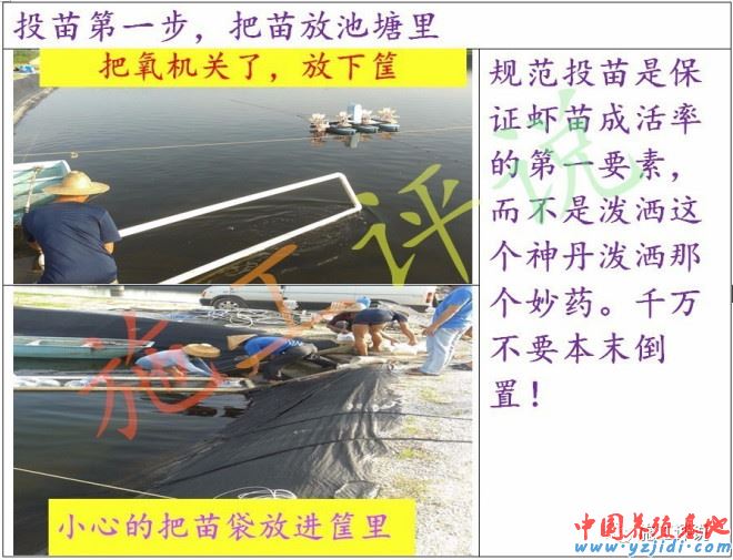 中國養殖基地 yzjidi.com