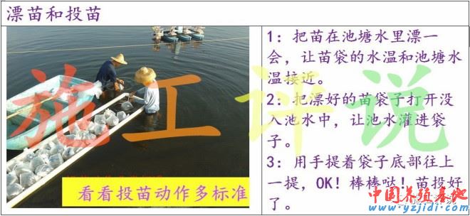 中國養殖基地 yzjidi.com
