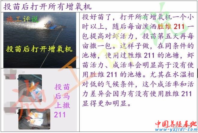 中國養殖基地 yzjidi.com