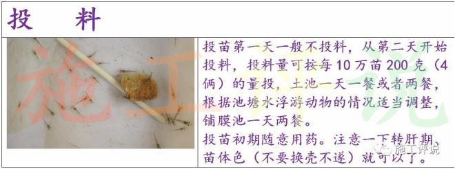中國養殖基地 yzjidi.com