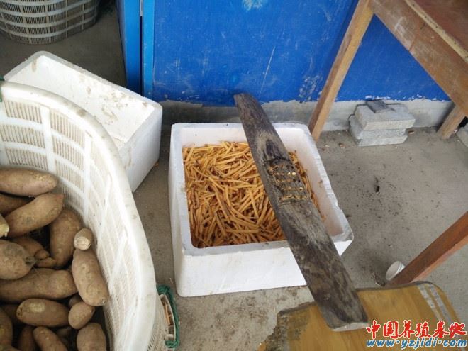 中國養殖基地 yzjidi.com
