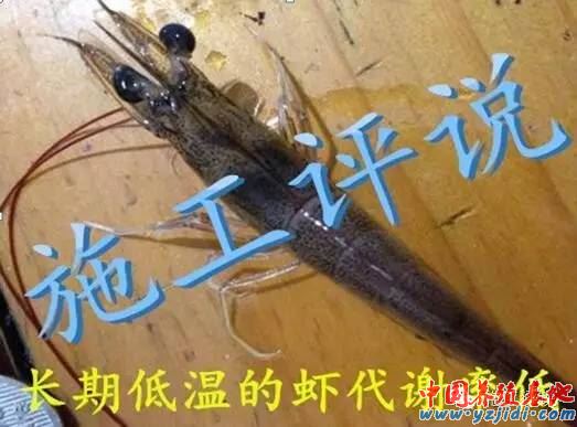 中國養殖基地 yzjidi.com
