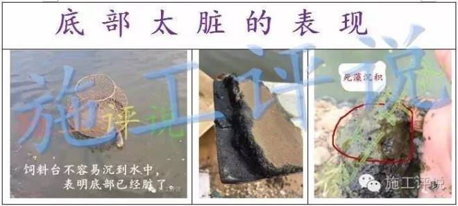 中國養殖基地 yzjidi.com