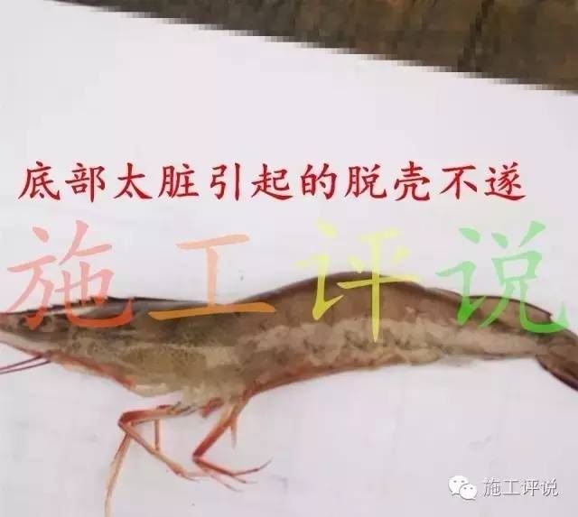 中國養殖基地 yzjidi.com