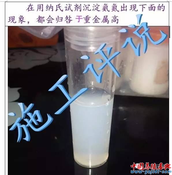 中國養殖基地 yzjidi.com