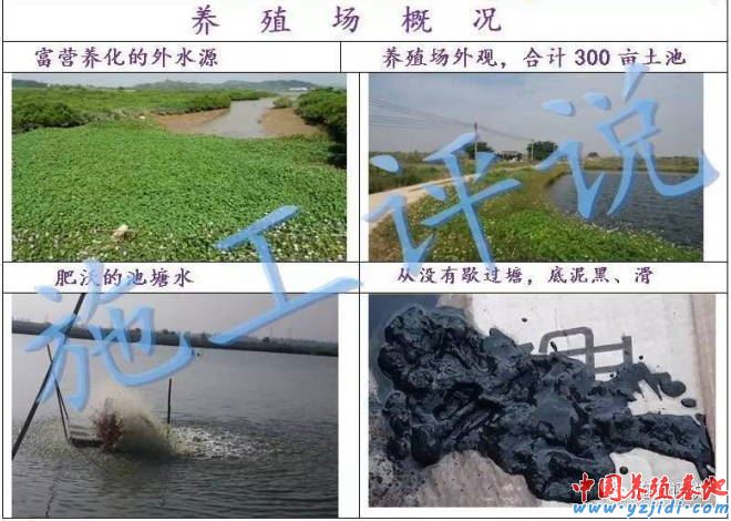 中國養殖基地 yzjidi.com