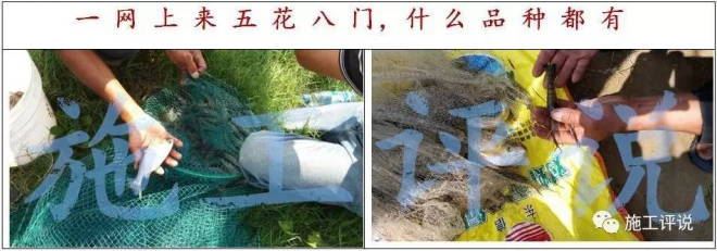 中國養殖基地 yzjidi.com