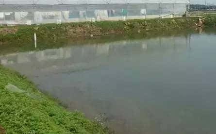 中國養殖基地 yzjidi.com