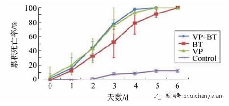 中國養殖基地 yzjidi.com