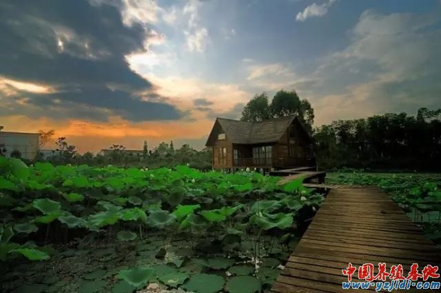 中國養殖基地 yzjidi.com