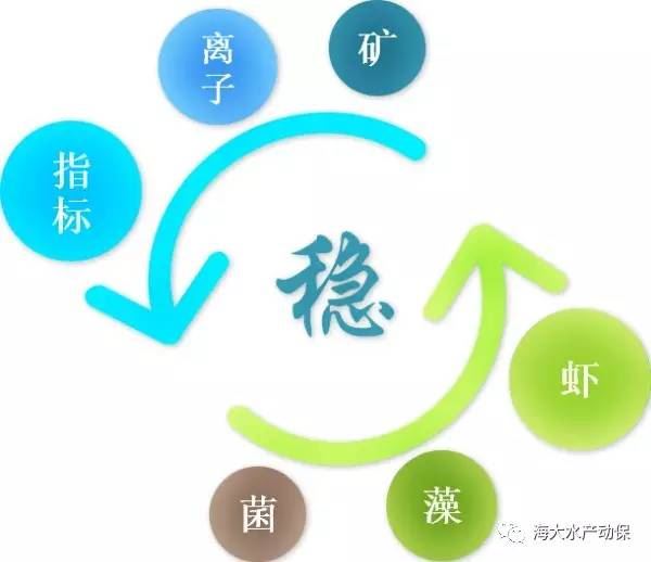 中國養殖基地 yzjidi.com