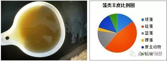 中國養殖基地 yzjidi.com