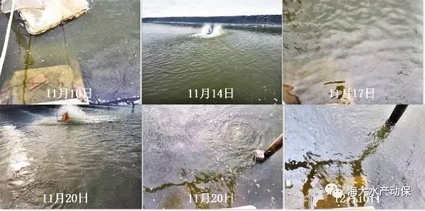 中國養殖基地 yzjidi.com