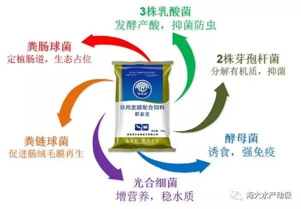 中國養殖基地 yzjidi.com