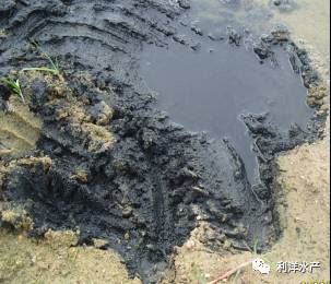 中國養殖基地 yzjidi.com
