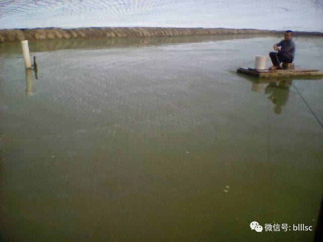 中國養殖基地 yzjidi.com