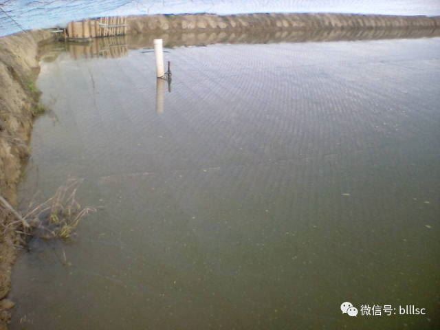 中國養殖基地 yzjidi.com