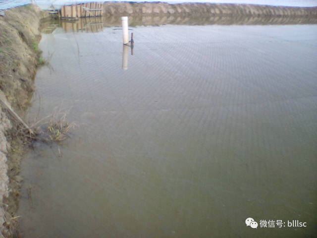 中國養殖基地 yzjidi.com
