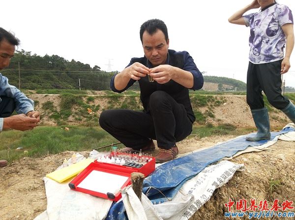中國養殖基地 yzjidi.com