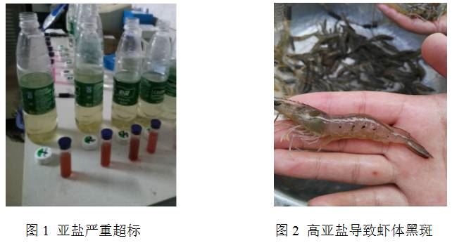 中國養殖基地 yzjidi.com