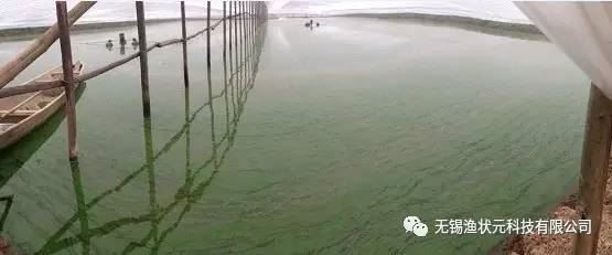 中國養殖基地 yzjidi.com
