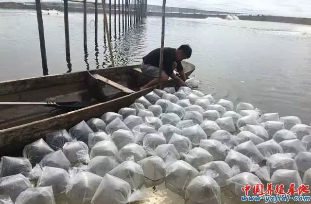 中國養殖基地 yzjidi.com