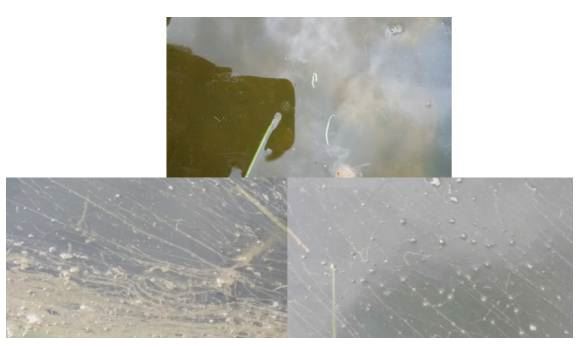 中國養殖基地 yzjidi.com