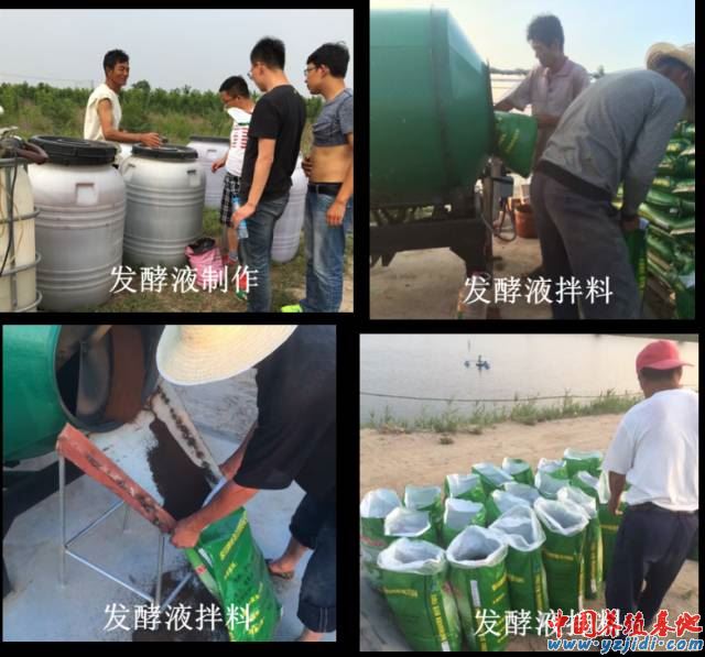 中國養殖基地 yzjidi.com