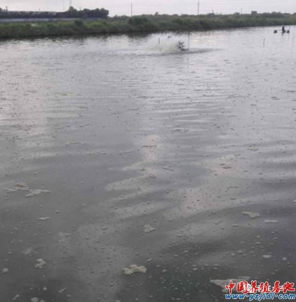 中國養殖基地 yzjidi.com