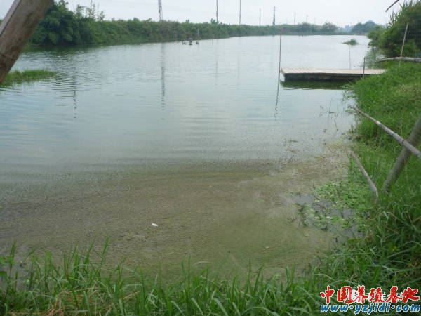 中國養殖基地 yzjidi.com