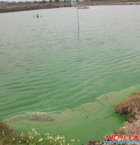 中國養殖基地 yzjidi.com