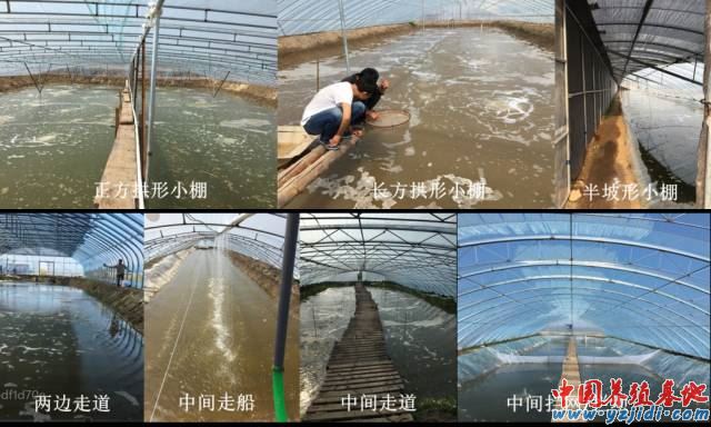 中國養殖基地 yzjidi.com