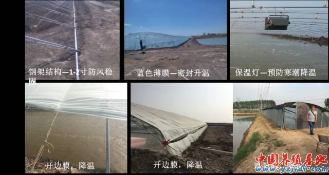 中國養殖基地 yzjidi.com