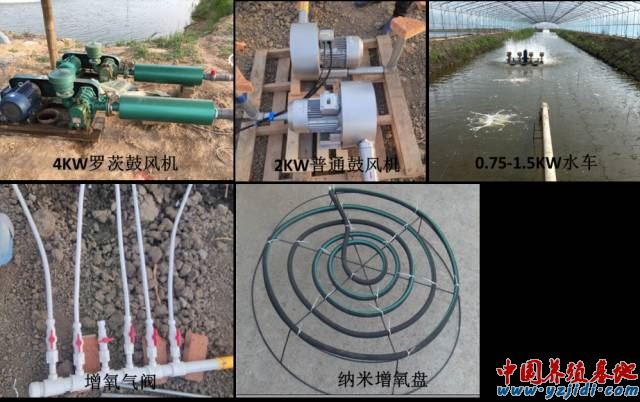 中國養殖基地 yzjidi.com